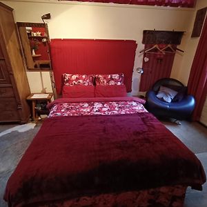 Bed And Breakfast Opus 209